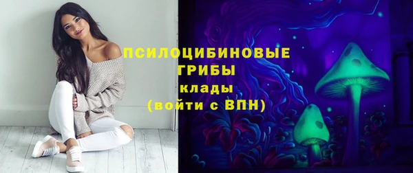 индика Абинск