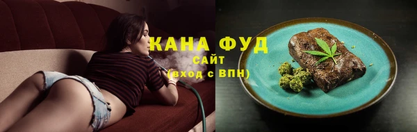 индика Абинск