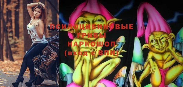 индика Абинск