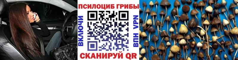как найти закладки  Алагир  Галлюциногенные грибы GOLDEN TEACHER 